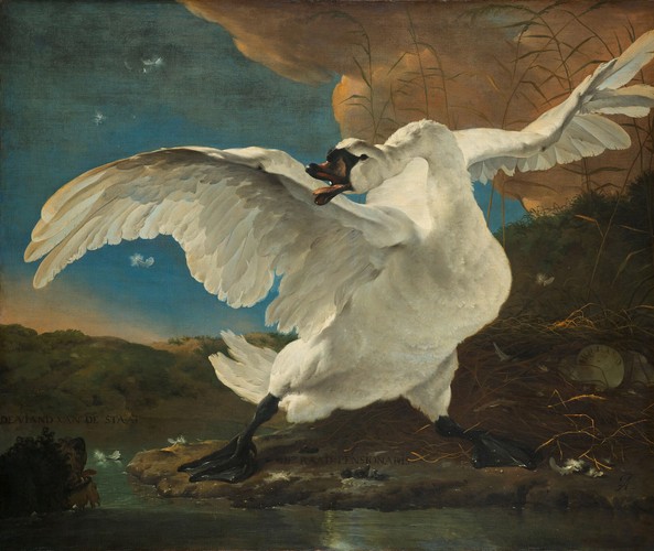 The Threatened Swan is an oil painting of a mute swan made around 1650 by Dutch Golden Age painter Jan Asselijn.
